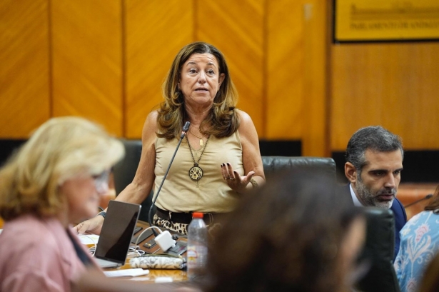 La consejera de Desarrollo Educativo, María del Carmen Castillo, en el Pleno del Parlamento (JOAQUIN CORCHERO / PARLAMENTO DE ANDALUCIA)