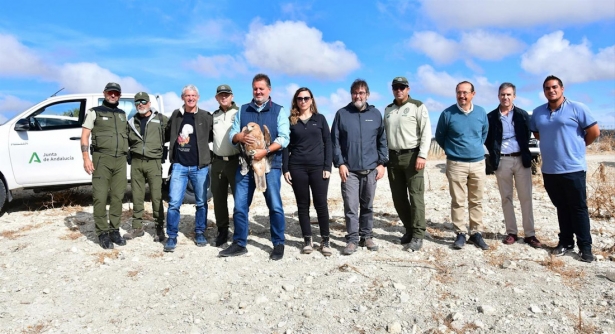 El delegado de Sostenibilidad de la Junta en Granada, Manuel Francisco García, ha liberado el ejemplar de águila (JUNTA) El delegado de Sostenibilidad de la Junta en Granada, Manuel Francisco García, ha liberado el ejemplar de águila (JUNTA)