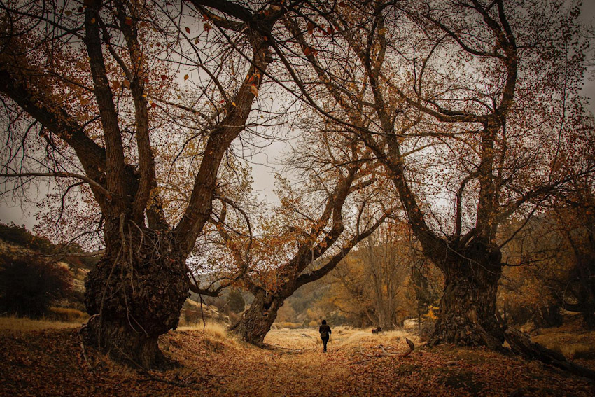 Jorge Iglesias, concejal de Deportes de Granada, en un momento de la presentación del Rallye de Granada (J. PALMA)
