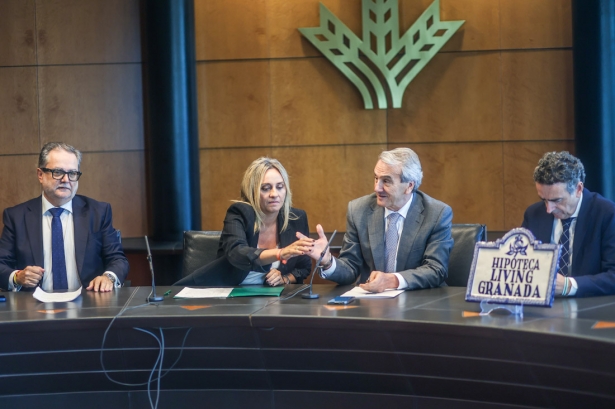 Balance de la hipoteca `Living Granada` (GPMEDIA)