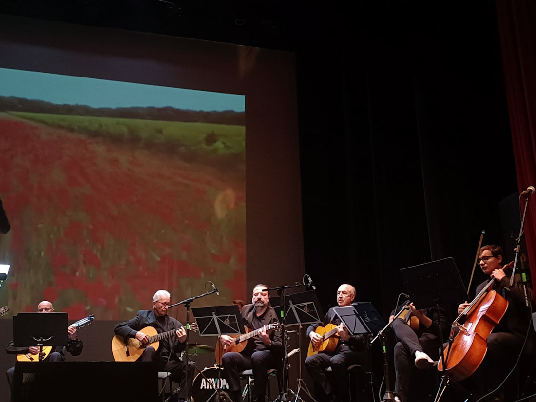 Imagen del concierto (AYTO. GUADIX)