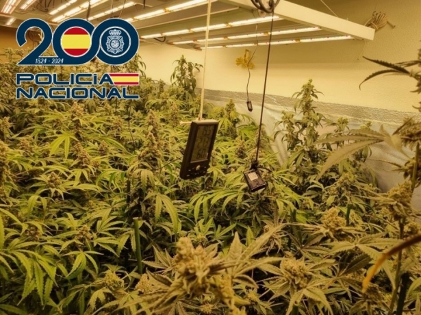 Plantación de marihuana en interior (POLICIA NACIONAL)