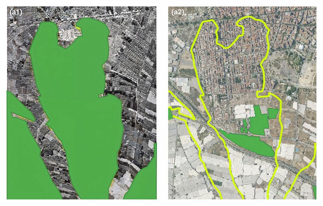 Comparación del área de ocupación de Maytenus senegalensis europaea entre 1956 (a1) y 2021 (a2) (UNIVERSIDAD DE GRANADA)