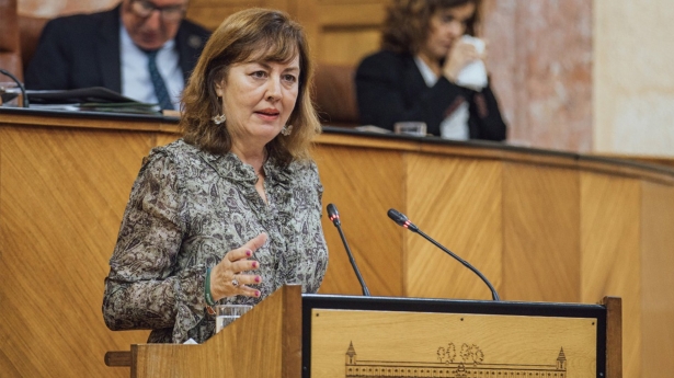 La parlamentaria de Vox por Granada y vicepresidenta tercera de la Mesa del Parlamento de Andalucía, Cristina Jiménez (VOX)