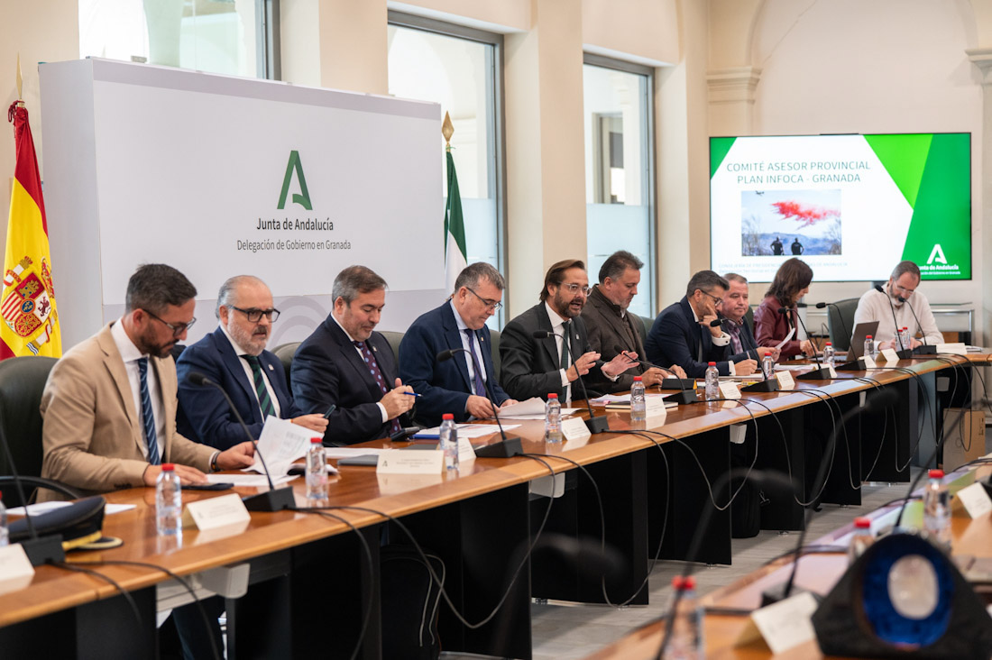 Comité asesor del Plan Infoca (JUNTA)