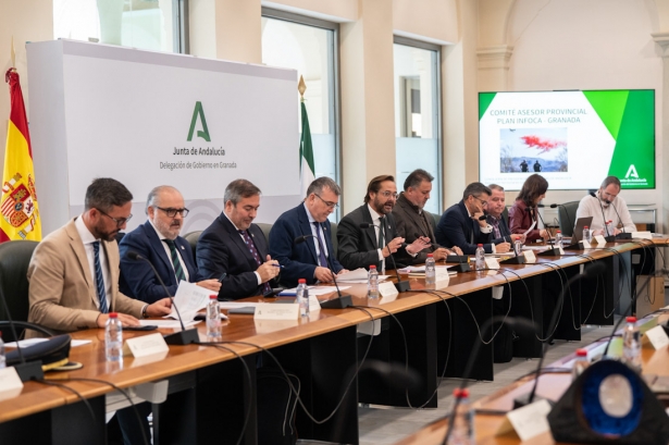 Comité asesor del Plan Infoca (JUNTA)