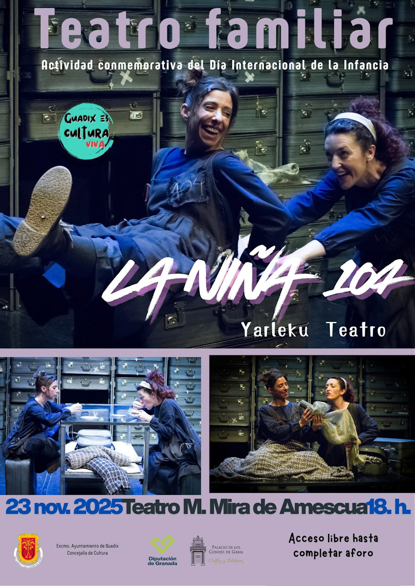 (AYUNTAMIENTO GUADIX)