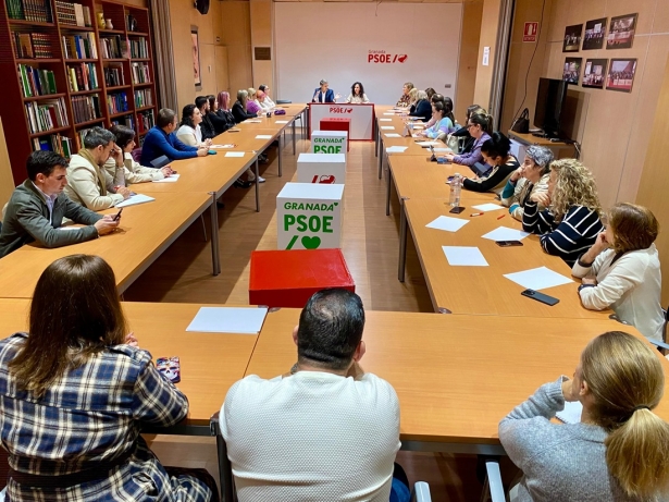 Consejo de Igualdad (PSOE)