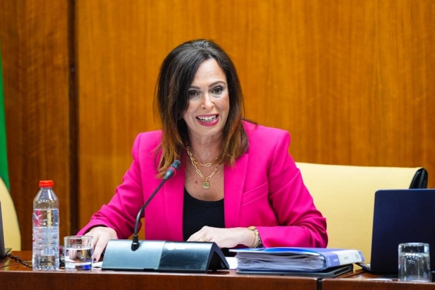 La consejera de Fomento, Articulación del Territorio y Vivienda, Rocío Díaz, en comisión parlamentaria este jueves 20 de noviembre de 2025 (JOAQUÍN CORCHERO/PARLAMENTO DE ANDALUCÍA)