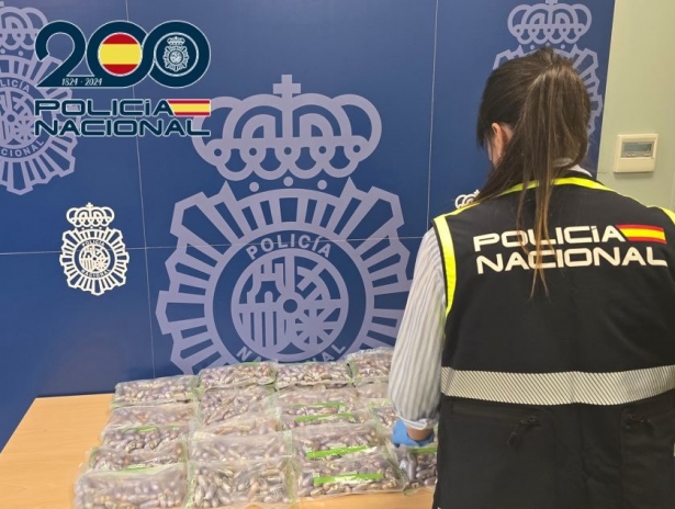 Bellotas de hachís incautadas (POLICIA NACIONAL)
