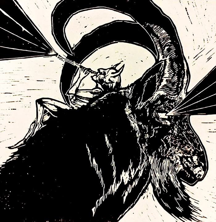 Los Cosmics (BORDERLINE MUSIC)