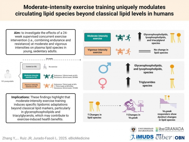 Una investigación revela que el ejercicio físico moderado tiene beneficios en las grasas de la sangre (UGR)