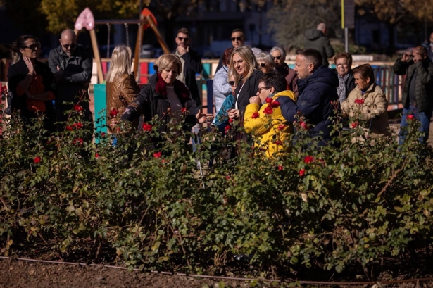 La alcaldesa de Granada, Marifrán Carazo, revisa los trabajos en la calle Jimena (AYUNTAMIENTO)
