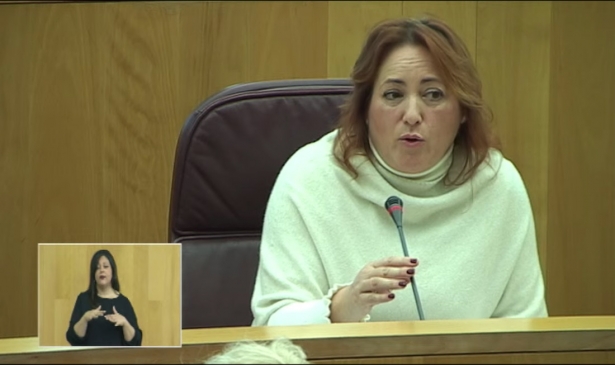 Mari Carmen Pérez (IU)