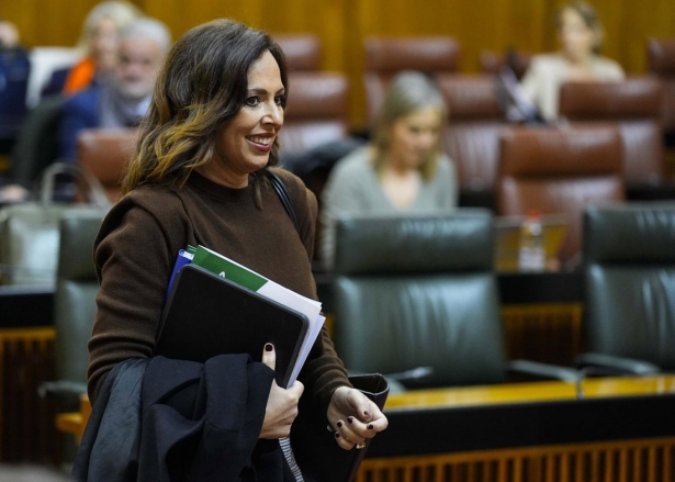 La consejera de Fomento, Rocío Díaz, este pasado martes en el Pleno del Parlamento (JOAQUÍN CORCHERO/PARLAMENTO DE ANDALUCÍA)