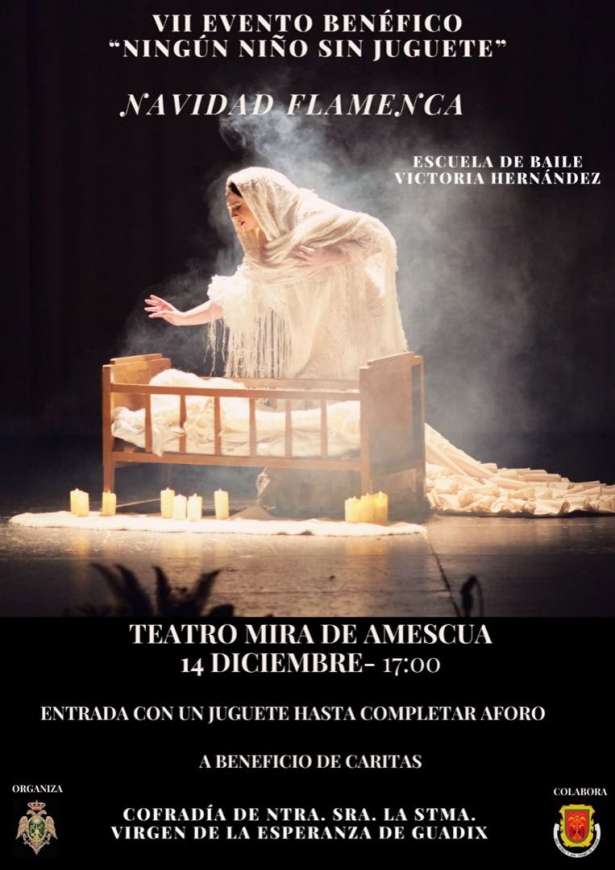 (AYTO. GUADIX) (AYTO. GUADIX)