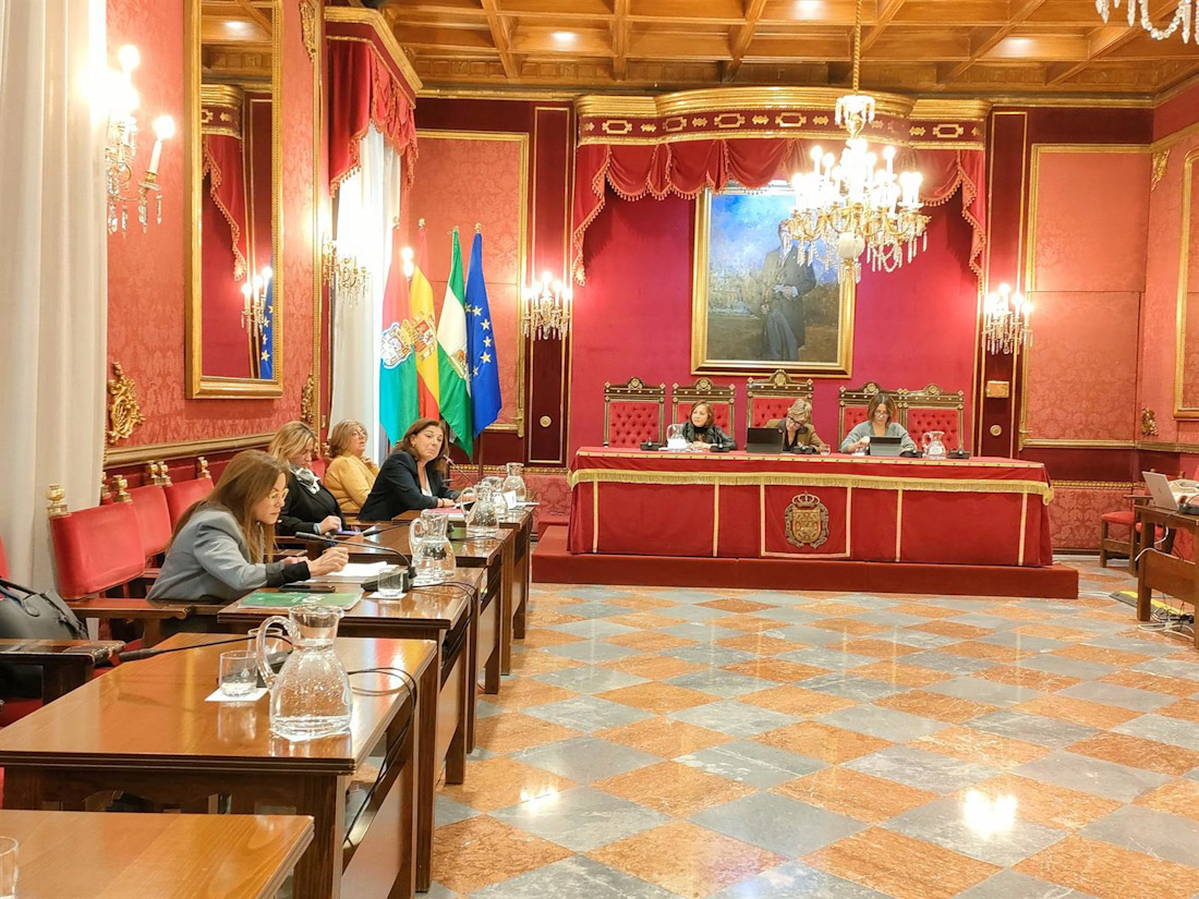 Comisión extraordinaria de Protección Ciudadana sobre la gestión de multas por la Policía Local de Granada (EUROPA PRESS)