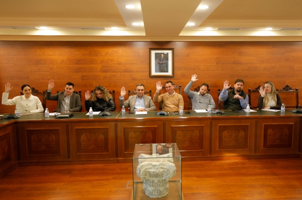Pleno del Ayuntamiento de Alhendín (AYTO. ALHENDÍN)