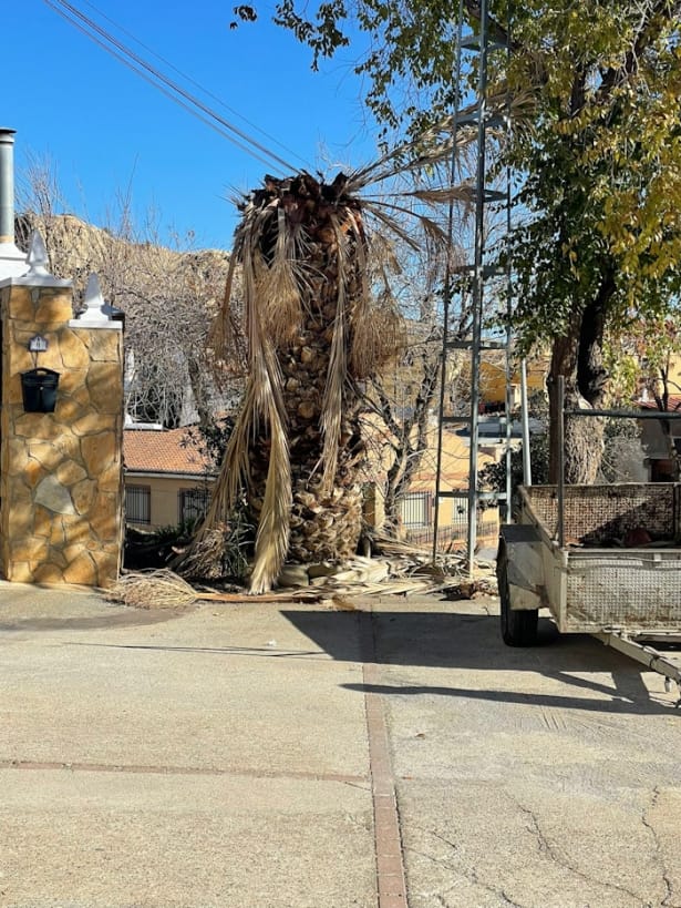 (AYTO. GUADIX) (AYTO. GUADIX)