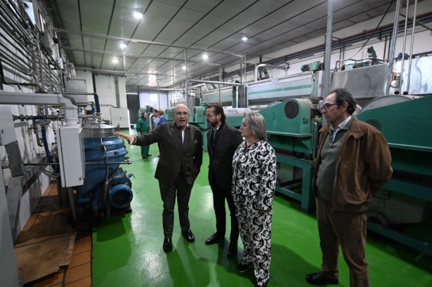 Visita a Temple oliva (JUNTA)