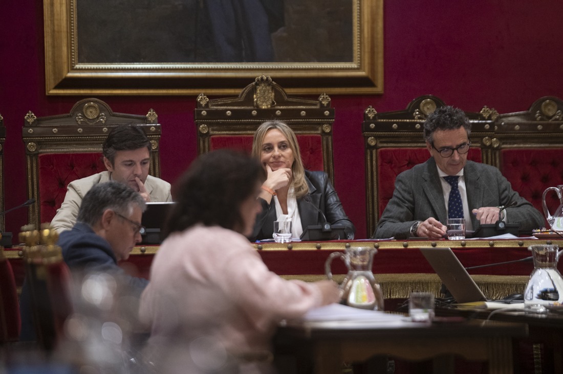 Pleno del Ayuntamiento de Granada (GPMEDIA)