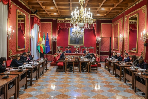 Pleno del Ayuntamiento de Granada (GPMEDIA)