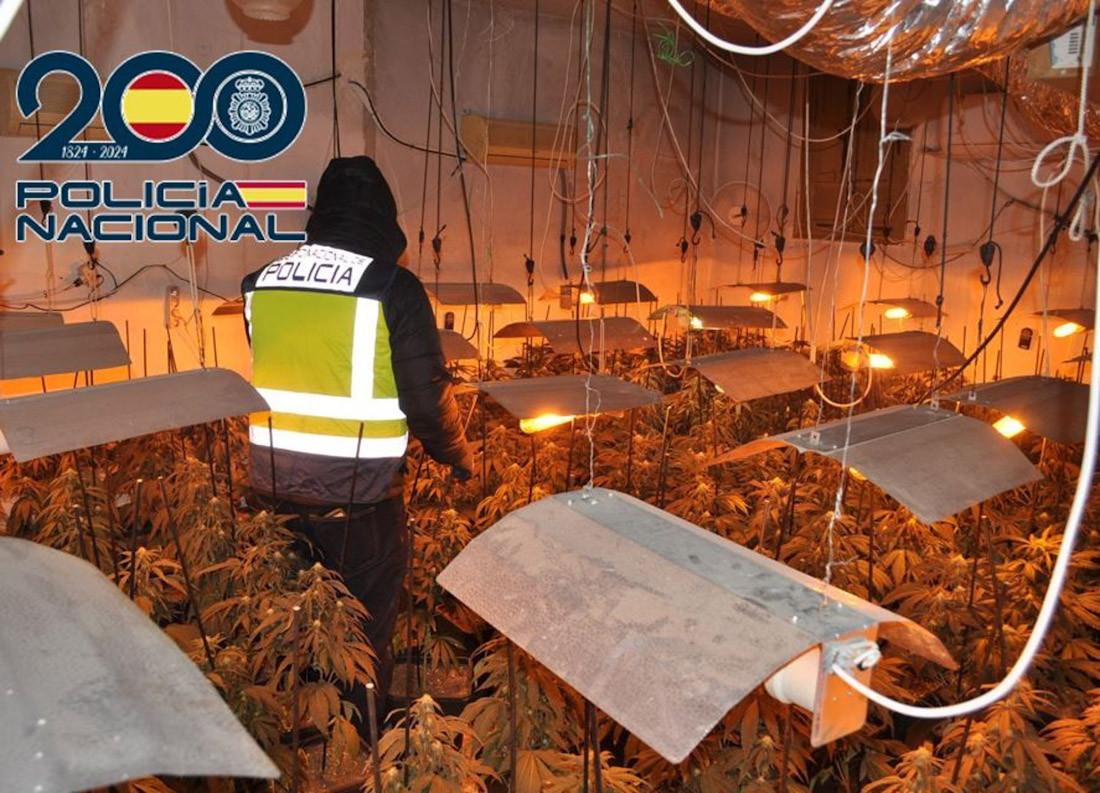 Desmantelamiento de plantación indoor de marihuana en el Altiplano de Granada (POLICÍA NACIONAL)