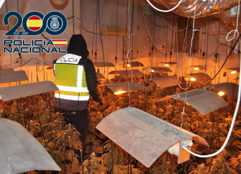 Desmantelamiento de plantación indoor de marihuana en el Altiplano de Granada (POLICÍA NACIONAL) Desmantelamiento de plantación indoor de marihuana en el Altiplano de Granada (POLICÍA NACIONAL)