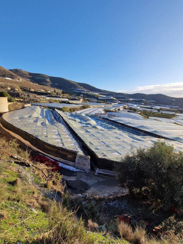 Daños del temporal en explotaciones agrarias en Carchuna (COAG)