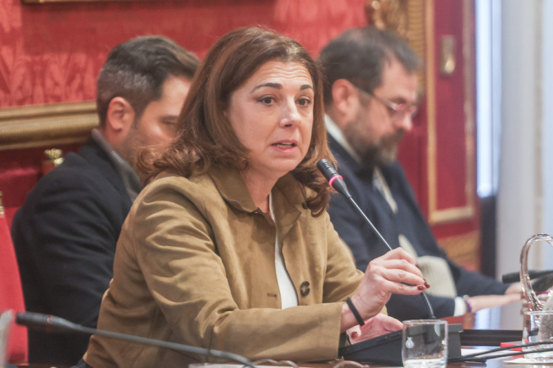 Raquel Ruz durante el pleno (GPMEDIA)