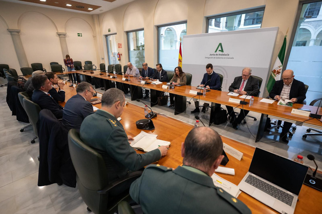 Imagen de la reunión (JUNTA)