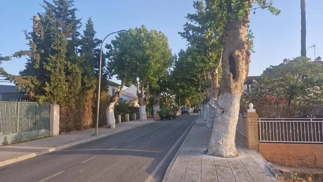 (AYTO. FUENTE VAQUEROS)