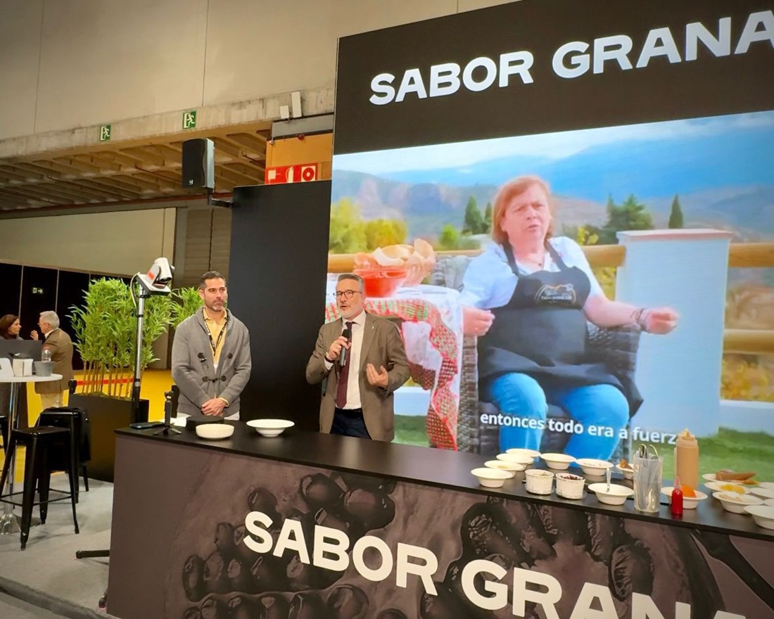 Presentación de 'Abuelas granainas' (DIPGRA)