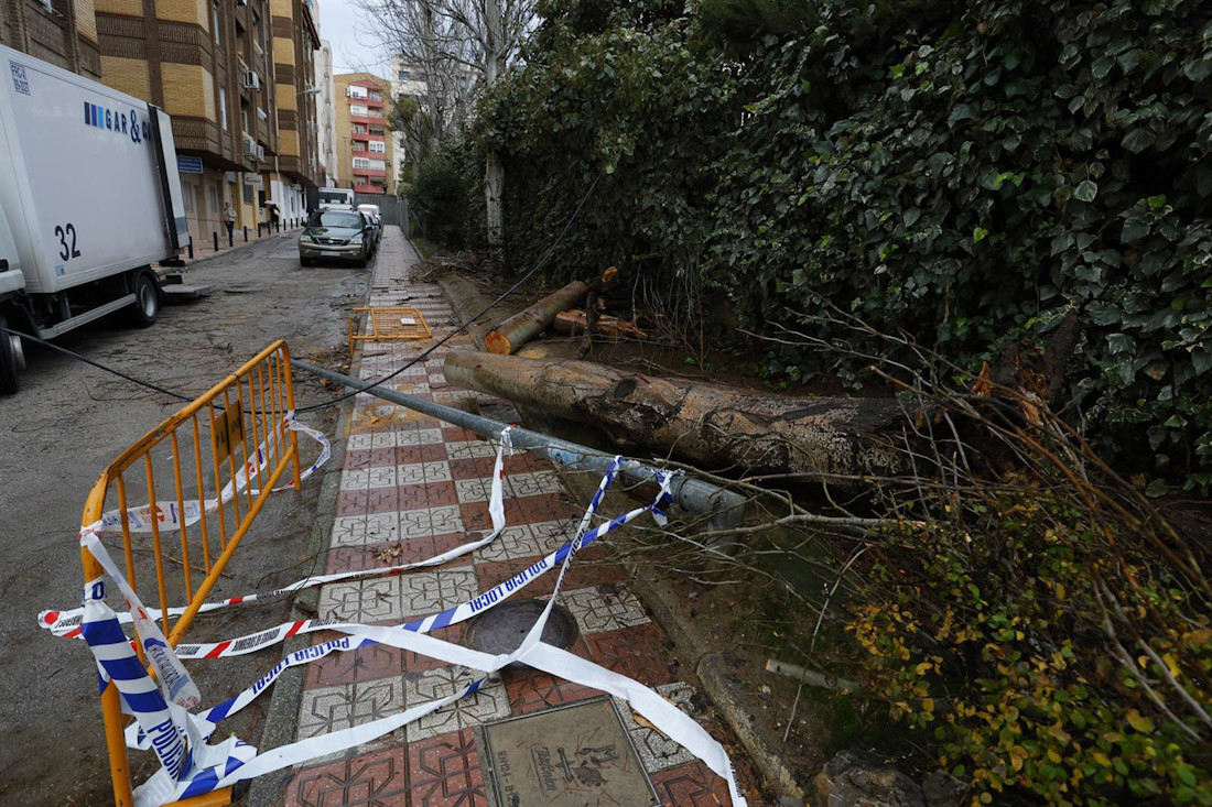 Efectos del paso de la borrasca Kristin a su paso por Granada (ÁLEX CÁMARA-EUROPA PRESS)