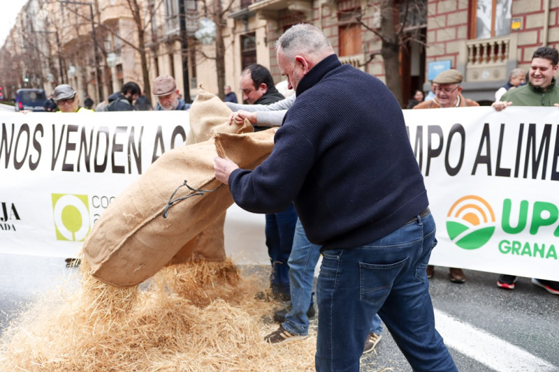 Tractorada en Granada (GPMEDIA)