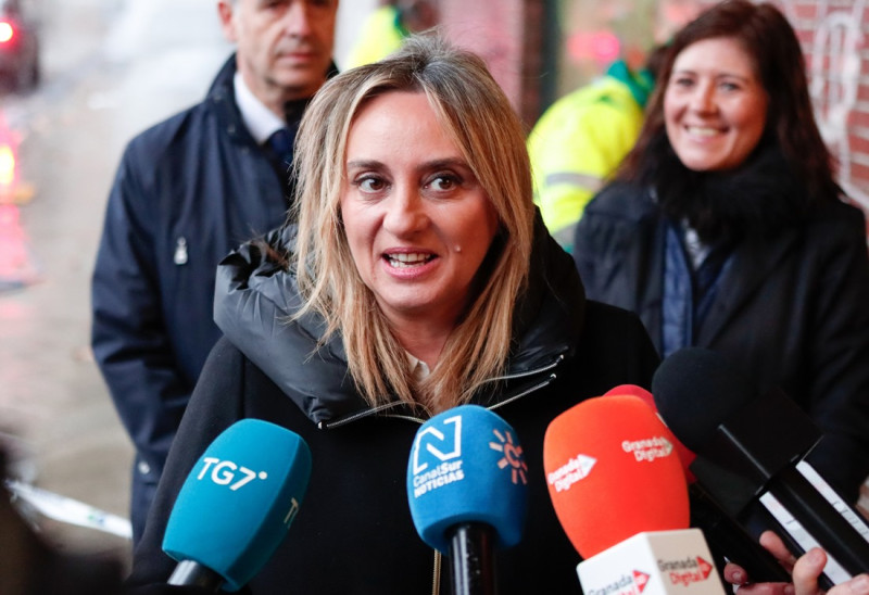 La alcaldesa de Granada, Marifran Carazo ha presentado las brigadas antipintadas (GPMEDIA)