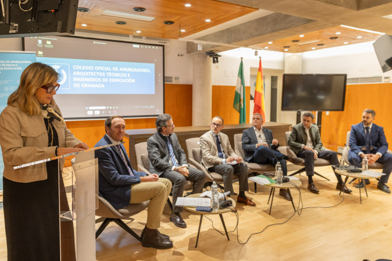 (COLEGIO DE ARQUITECTOS) (COLEGIO DE ARQUITECTOS)