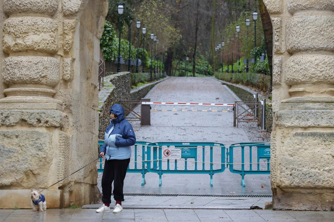 La Alhambra cierra el acceso a sus bosques por riesgo de caída de ramas o árboles. Imagen de archivo. (ÁLEX CÁMARA-EUROPA PRESS)