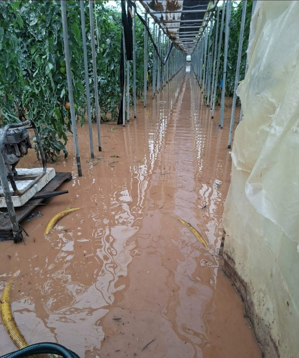 Efectos de la borrasca 'Leonardo' en un invernadero de Granada (COAG GRANADA)