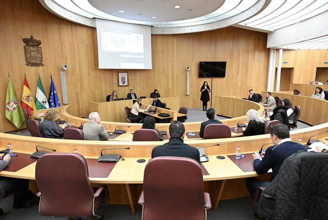Pleno extraordinario de Diputación (DIPGRA)