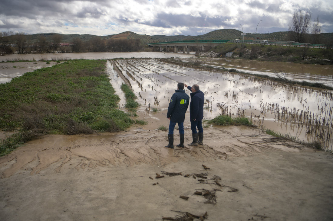 Juanma Moreno visitó una plantación de espárragos afectada por el temporal (GPMEDIA)