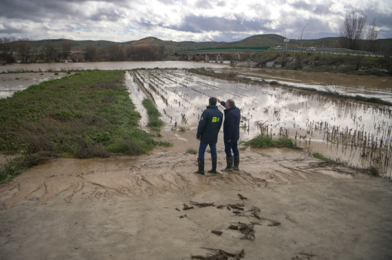 Juanma Moreno visitó una plantación de espárragos afectada por el temporal (GPMEDIA)