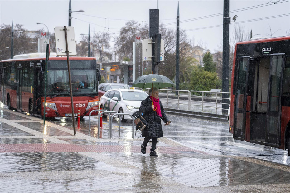 Imágenes de transeúntes por las calles de Granada a principios de febrero (ARSENIO ZURITA - EUROPA PRESS)