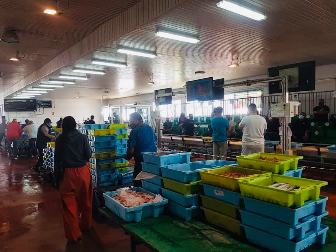 Imagen de archivo de la Lonja de Motril (AUTORIDAD PORTUARIA DE MOTRIL)