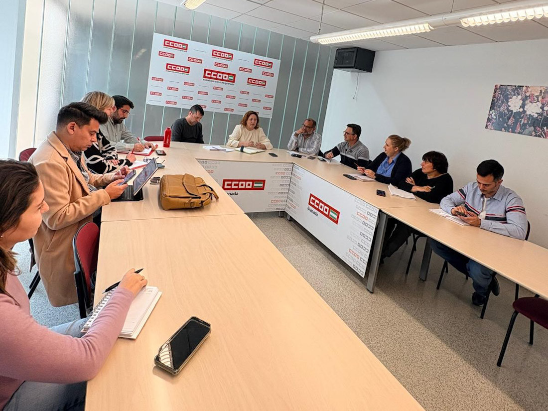 Imagen de la reunión (IU)