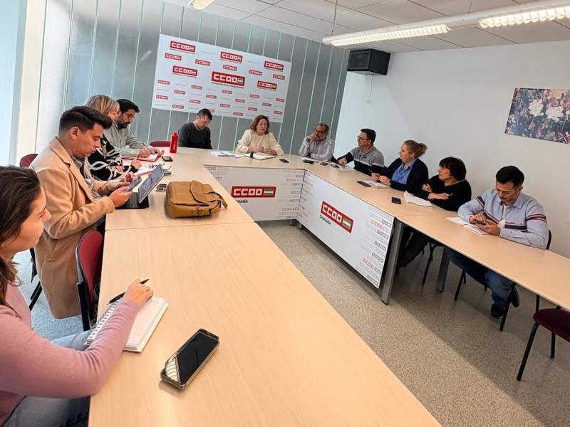 Imagen de la reunión (IU)