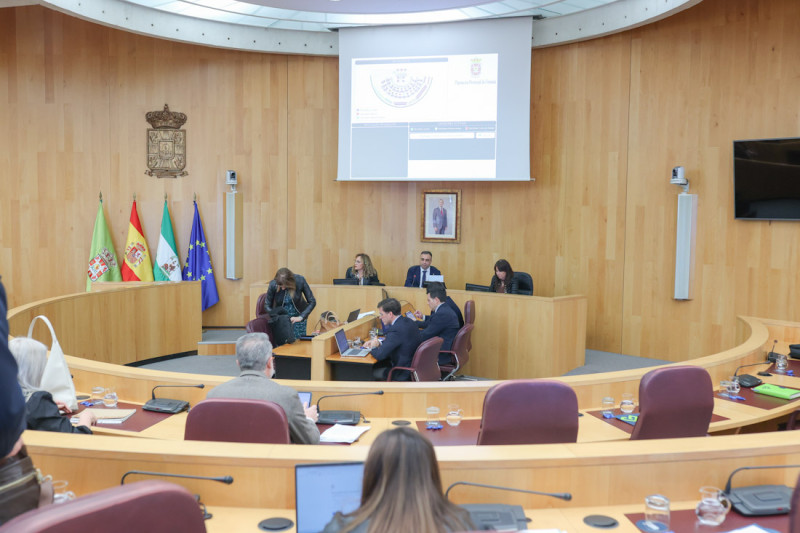 Pleno de Diputación (GPMEDIA)