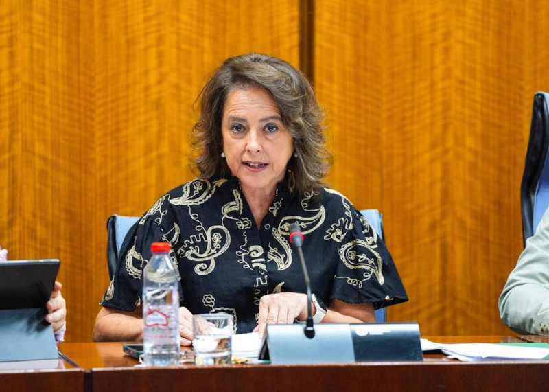 La consejera de Sostenibilidad y Medio Ambiente, Catalina García, en comisión parlamentaria el pasado noviembre (JOAQUIN CORCHERO / PARLAMENTO DE ANDALUCIA) La consejera de Sostenibilidad y Medio Ambiente, Catalina García, en comisión parlamentaria el pasado noviembre (JOAQUIN CORCHERO / PARLAMENTO DE ANDALUCIA)