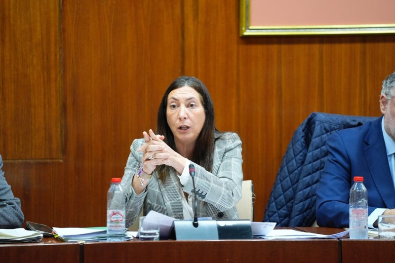 La consejera de Inclusión Social, Loles López, en comisión parlamentaria el pasado febrero