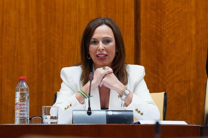 La consejera de Fomento, Rocío Díaz, en la comisión del ramo en el Parlamento de Andalucía La consejera de Fomento, Rocío Díaz, en la comisión del ramo en el Parlamento de Andalucía
